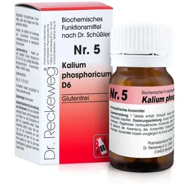 Dr.RECKEWEG & Co. GmbH Biochemie 5 Kalium phosphoricum D6