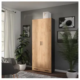 Vicco Mehrzweckschrank Ingo, Anthrazit/Goldkraft Eiche, 80 x 201.2 cm mit Schubladenmodul (80 x 37 x 201.20 cm)