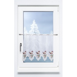Scheibengardine Plauener Spitze - Stieglitz " (Bx H) 162cm * 49cm" mehrfarbig/Braun