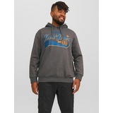 JACK & JONES PlusSize Kapuzensweatshirt »JJELOGO SWEAT HOOD 2 COL 23/24 NOOS PLS«,