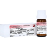 Dr. Reckeweg & Co. GmbH RHUS TOXICODENDRON D12