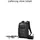 Lowepro DroneGuard BP 250 schwarz/fractal