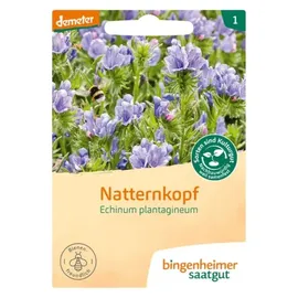 Bingenheimer Saatgut Natternkopf demeter
