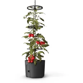 Buri 3x BURI Tomatenpflanztopf mit Rankhilfe Anthrazit Tomatentopf Pflanzkübel Pflanztopf Blumentopf Blumenkübel Kletterhilfe Anzuchttopf