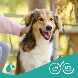 beaphar Hundeshampoo Fellglanz 250 ml