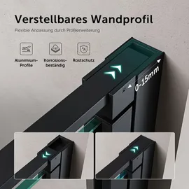 doporro Teramo66 Nischentür Drehtür 100 x 195 cm schwarz Klarglas