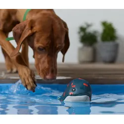 Tchibo - Hunde-Wasserspielzeug »Wal« - orange