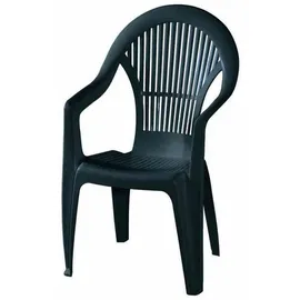 PROGARDEN Vega Stapelstuhl 41 x 39 x 101 cm grün 2er Set M73538