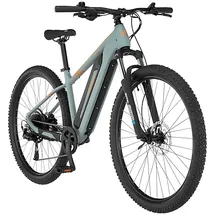 Fischer Montis 2.2 Active 29 Zoll RH 43 piniengrün matt