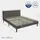 home collective Polsterbett 140x200 und 160x200 cm mit Lattenrost und weichem Bezug, Bettgestell 140x200 cm, Grau, Samtbezug - Grau