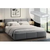 home collective Polsterbett Doppelbett mit Lattenrost aus Metall und Stauraum mit hydraulischem Bettkasten 140x200 cm Samt grau, mit Matratze - Grau