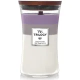 Woodwick Trilogy Amethyst Sky Kerze Large Jar 623 g