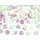 Partydeco Konfetti Kreise 2,5 cm 15 g mehrfarbig