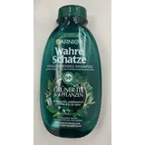 Garnier Wahre Schätze Vitalisierendes Shampoo Grüner Tee & 4 Pflanzen