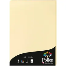 Pollen 10x Papier A4 Pollen 120g 50 Blatt - Chamois 4296C