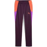 Puma Individualblaze Trainingshose Midnight Plum XL