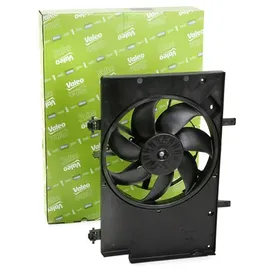 Valeo 696344