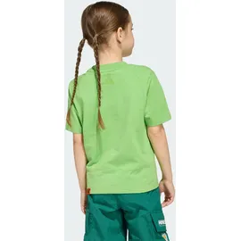 adidas Terrex T-shirt semi lucid lime 164
