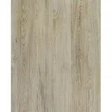 d-c-fix Klebefolie Santana Oak kalk cm x 2 m