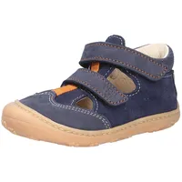 Pepino Ebi Blau 19