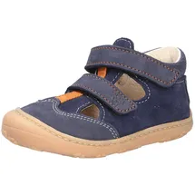 Pepino Ebi Blau 19