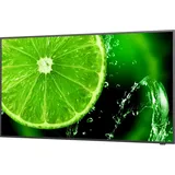 MultiSync E558 55
