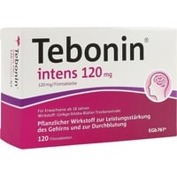 Dr. Willmar Schwabe Tebonin intens 120 mg Filmtabletten 120 St.