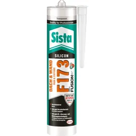 Banyo Dach-Silikon F173 Dach & Wand transparent 300ml