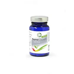 SanaSilicium mit Zink 60 Kapseln – Hochwertige Silicium-Quelle