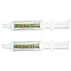 LAB-V Carbo Vet - Präparat für Durchfall, Vergiftungen 2x100ml