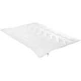 IRISETTE Faserdecke Lavina Mono medium, Füllung: 100% Markenhohlfaser 200x200 cm