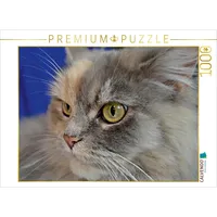 Calvendo Maine Coon Puzzle