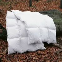 BettwarenShop Polar extra warm, 70% Federn, 30% Daunen 155x220 cm