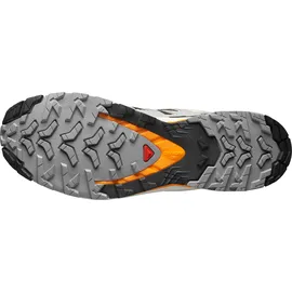 Salomon XA Pro 3D V9 Herren Black / Gull / Turmeric 44