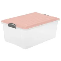 Rotho Compact Aufbewahrungsbox 38l mit Deckel, Kunststoff (PP) BPA-frei,