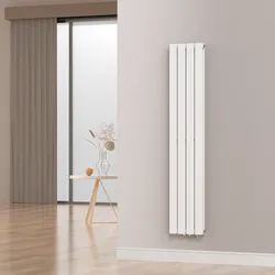 Designheizkörper Nore Weiß 160x30cm Doppellagig 1006W