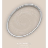 A.S. Création - Wandfarbe Beige Pure Potato 5L