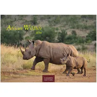 Casares Fine Art Edition Wilde Tiere Afrikas Kalender 2026