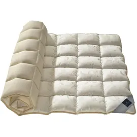 billerbeck Vitalana Matratzenauflage 180 x 200 cm beige