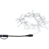 Paulmann Plug & Shine LED Lichterkette 48x Schwarz