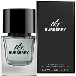 BURBERRY MR BURBERRY edt vapor - 50 ml