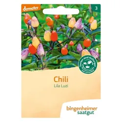 Bingenheimer Saatgut Chili Lila Luzi