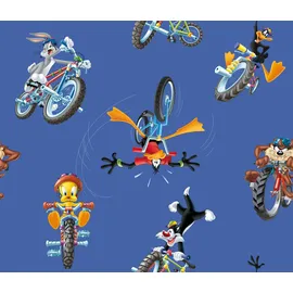 Wirth Kissenbezug Looney 40 x 60 cm Blau