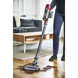 Rowenta X-Pert 6.60 Animal RH6878WO