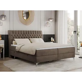 MKS Milen 160 x 200 cm H4 Braun