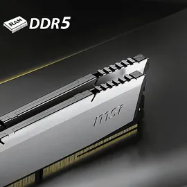 MSI MAG INFINITE S3 Gaming-PC Intel Core i5 14400F 2,5 GHz 16 GB RAM 1 TB SSD GeForce RTX 5060 Windows 11 Home