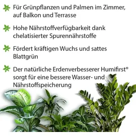 Substral Flüssigdünger Grünpflanzen 500 ml