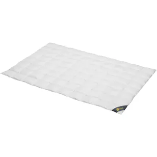 SPESSARTTRAUM Gold extra leicht Größe 155x220 cm