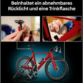 LEGO Icons 11380 Rennrad