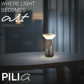 Briloner Pilia Anthrazit-Bronze